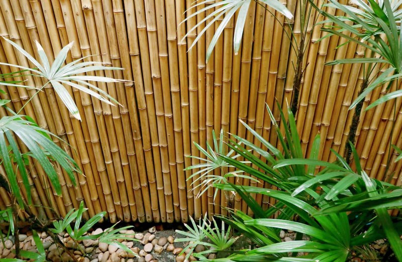 Backyard Privacy: 30 Ideas for a Tranquil Outdoor Space