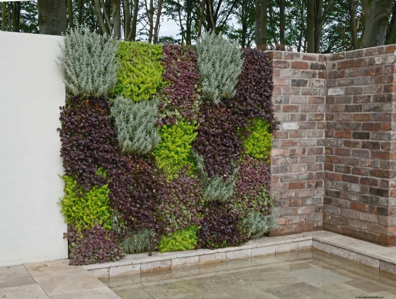 Backyard Privacy: 30 Ideas for a Tranquil Outdoor Space