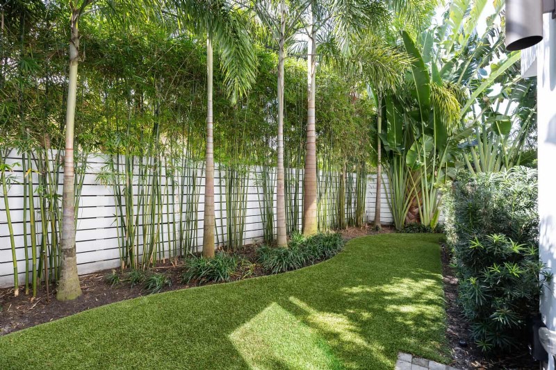 Backyard Privacy: 30 Ideas for a Tranquil Outdoor Space