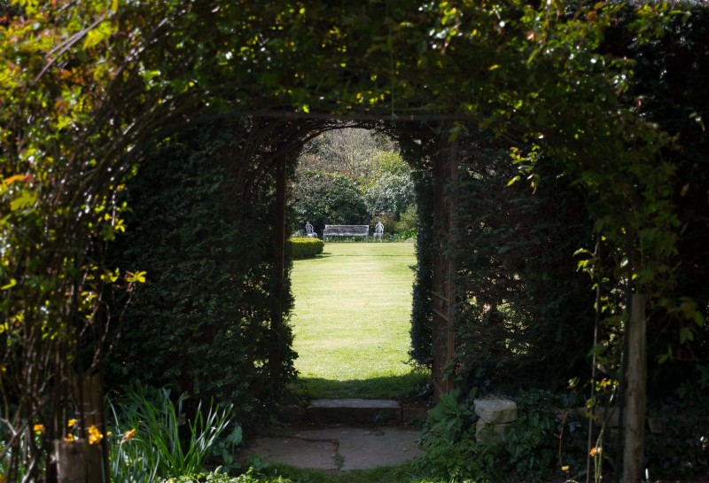 Backyard Privacy: 30 Ideas for a Tranquil Outdoor Space