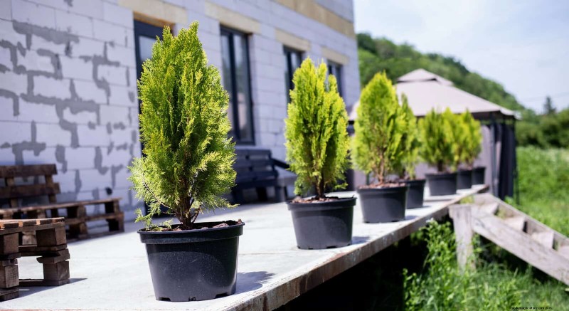 Backyard Privacy: 30 Ideas for a Tranquil Outdoor Space