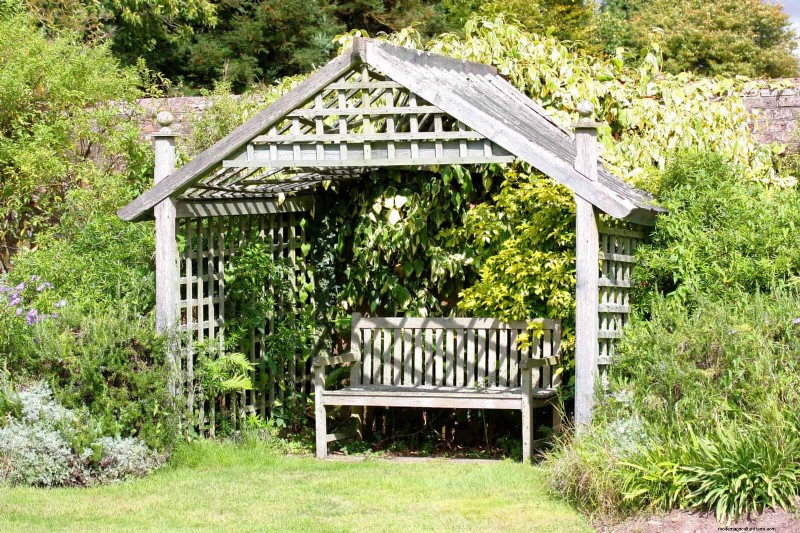 Backyard Privacy: 30 Ideas for a Tranquil Outdoor Space