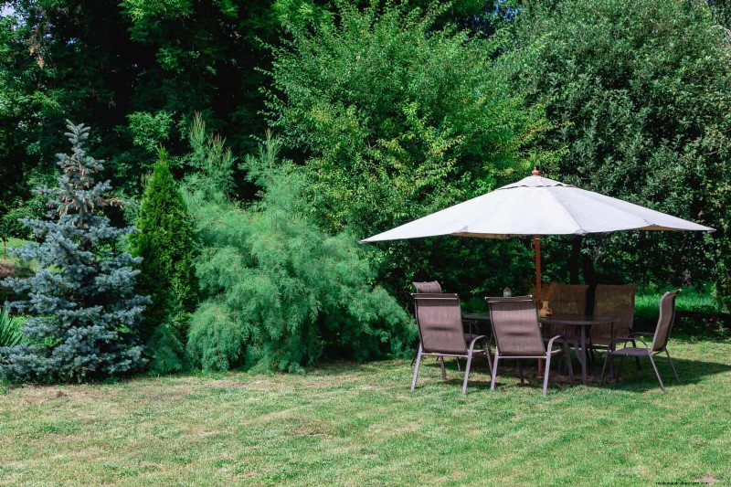 Backyard Privacy: 30 Ideas for a Tranquil Outdoor Space