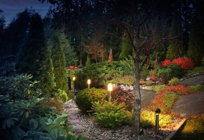 Backyard Privacy: 30 Ideas for a Tranquil Outdoor Space