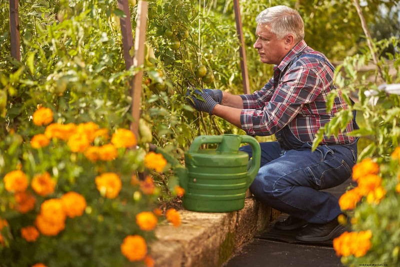 Companion Planting Mistakes: Troubleshooting & Solutions for a Thriving Garden