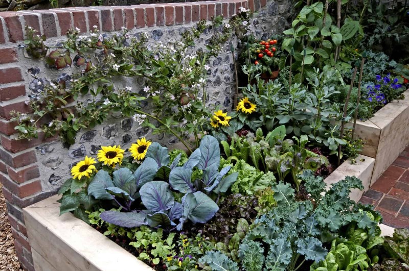 Companion Planting Mistakes: Troubleshooting & Solutions for a Thriving Garden