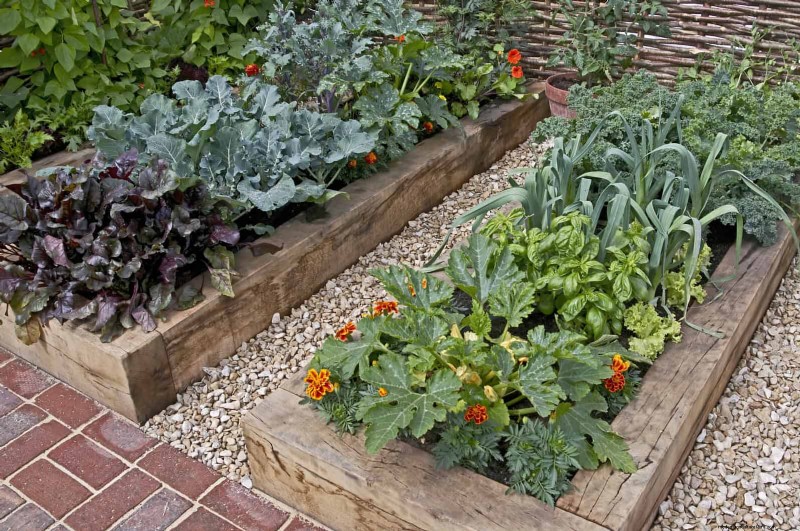 Companion Planting Mistakes: Troubleshooting & Solutions for a Thriving Garden