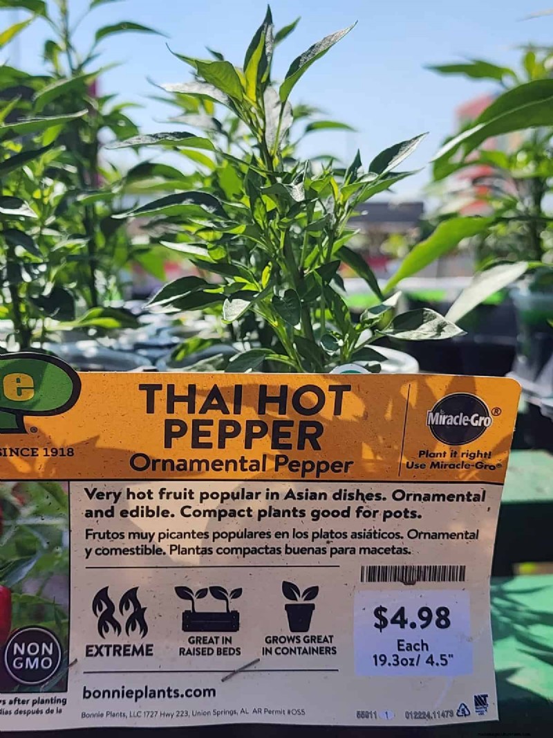 29 Unique Pepper Varieties Found at Home Depot | Gardening Guide