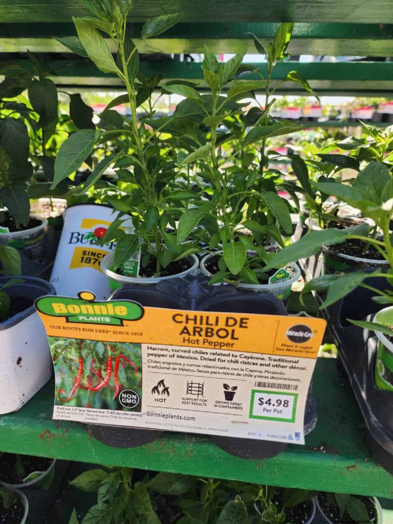 29 Unique Pepper Varieties Found at Home Depot | Gardening Guide