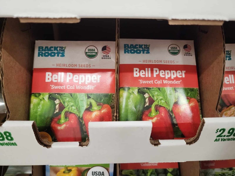 29 Unique Pepper Varieties Found at Home Depot | Gardening Guide