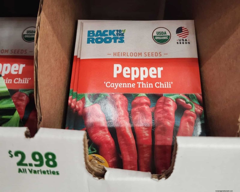 29 Unique Pepper Varieties Found at Home Depot | Gardening Guide