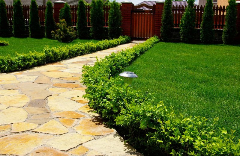 Best Border Ideas for Walkways & Garden Edges | Depositphotos