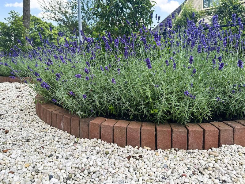 Best Border Ideas for Walkways & Garden Edges | Depositphotos