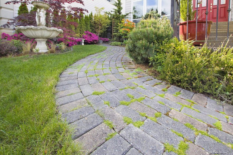 Best Border Ideas for Walkways & Garden Edges | Depositphotos