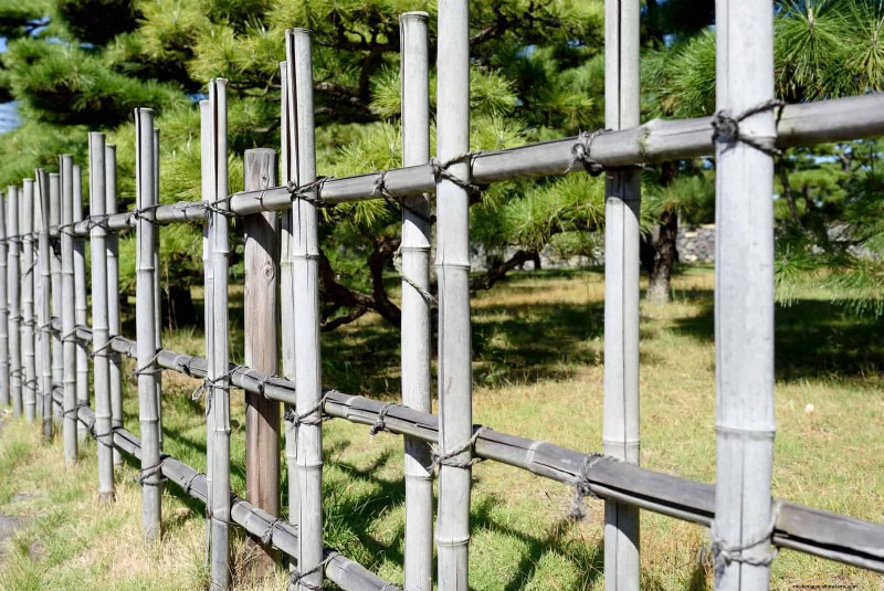 Best Border Ideas for Walkways & Garden Edges | Depositphotos