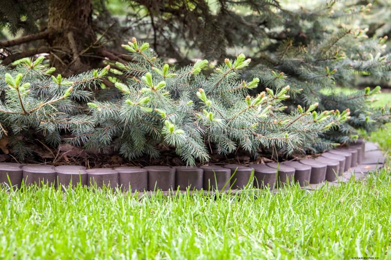 Best Border Ideas for Walkways & Garden Edges | Depositphotos