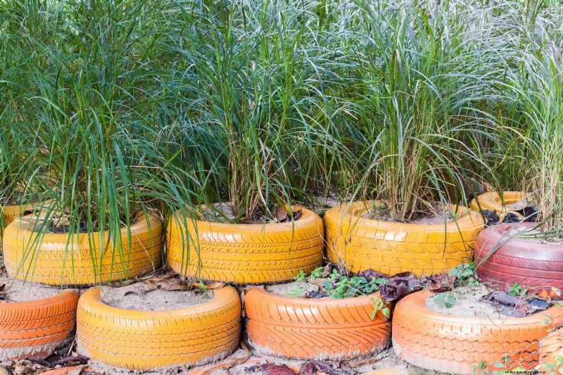 Best Border Ideas for Walkways & Garden Edges | Depositphotos