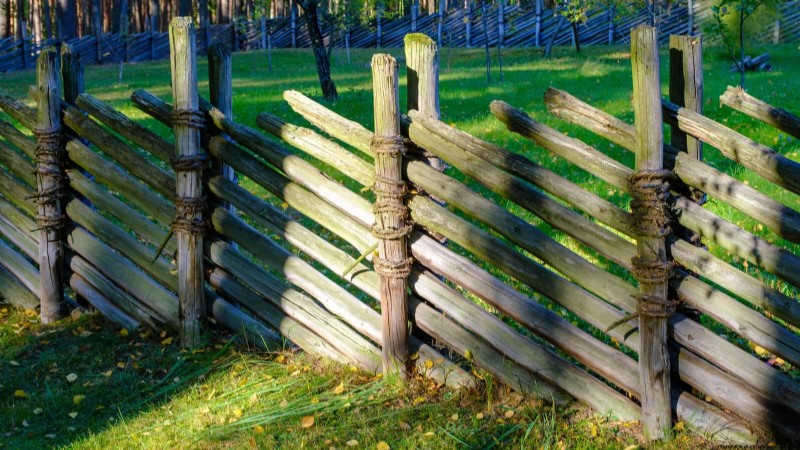 Best Border Ideas for Walkways & Garden Edges | Depositphotos