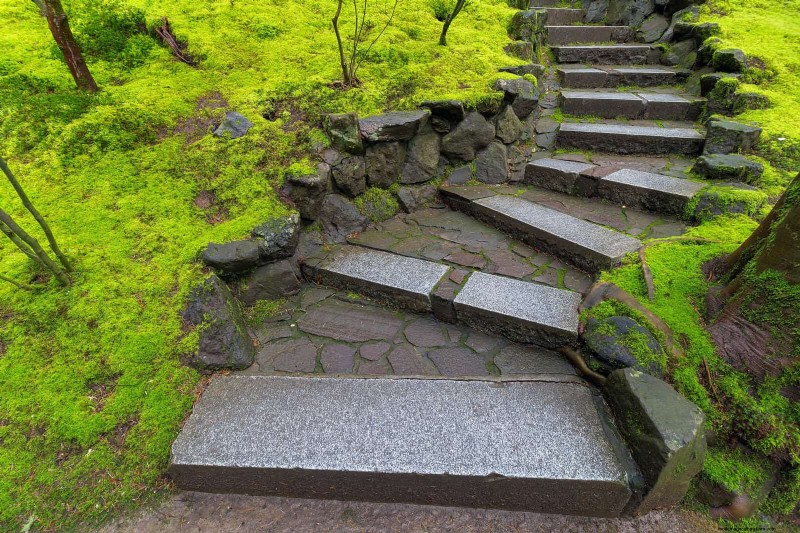 Best Border Ideas for Walkways & Garden Edges | Depositphotos