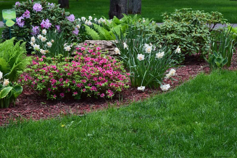 Best Border Ideas for Walkways & Garden Edges | Depositphotos