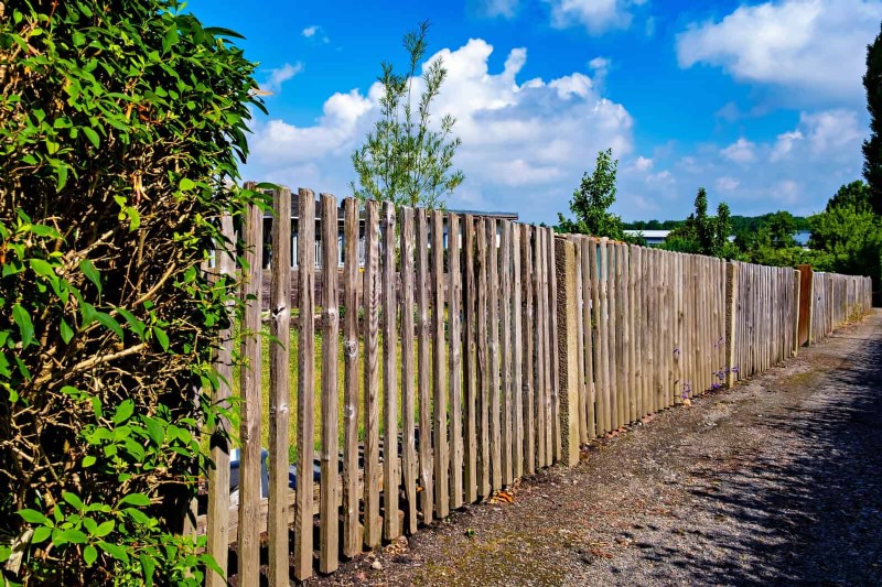 Best Border Ideas for Walkways & Garden Edges | Depositphotos