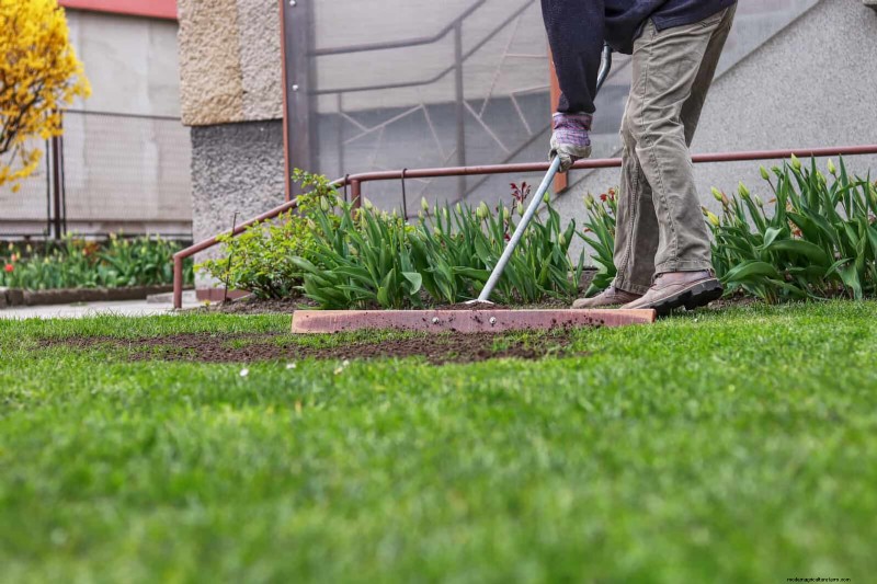 Best Border Ideas for Walkways & Garden Edges | Depositphotos