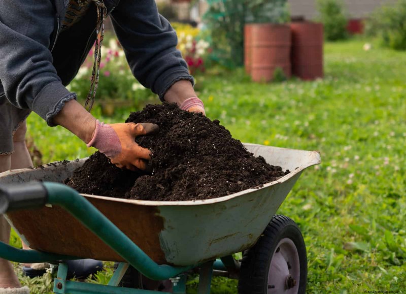 Revive Your Garden: 22 Soil Improvement Techniques for a Thriving Backyard