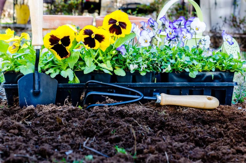 Revive Your Garden: 22 Soil Improvement Techniques for a Thriving Backyard