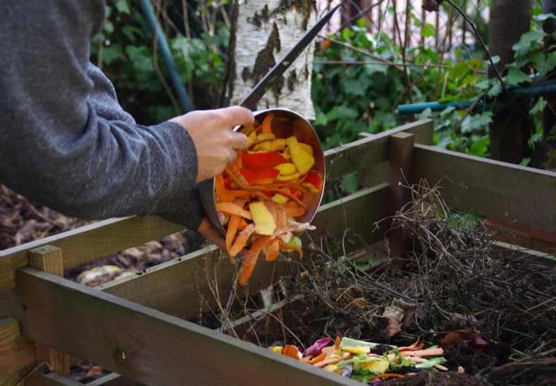 Revive Your Garden: 22 Soil Improvement Techniques for a Thriving Backyard
