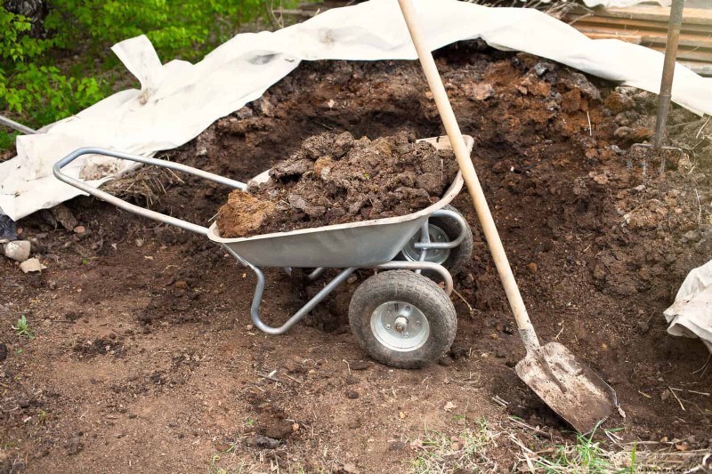 Revive Your Garden: 22 Soil Improvement Techniques for a Thriving Backyard