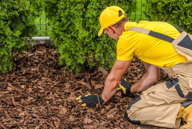 Revive Your Garden: 22 Soil Improvement Techniques for a Thriving Backyard