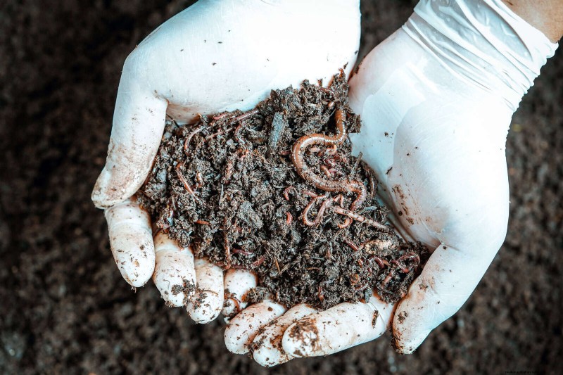 Revive Your Garden: 22 Soil Improvement Techniques for a Thriving Backyard