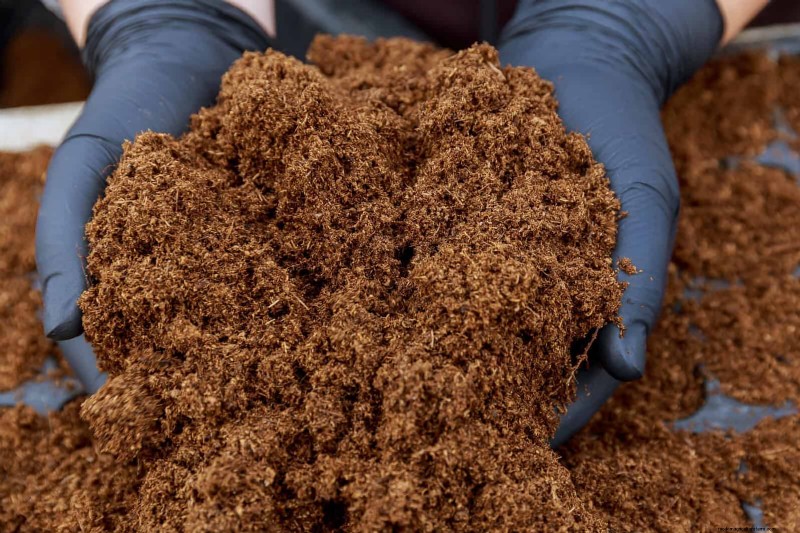 Revive Your Garden: 22 Soil Improvement Techniques for a Thriving Backyard