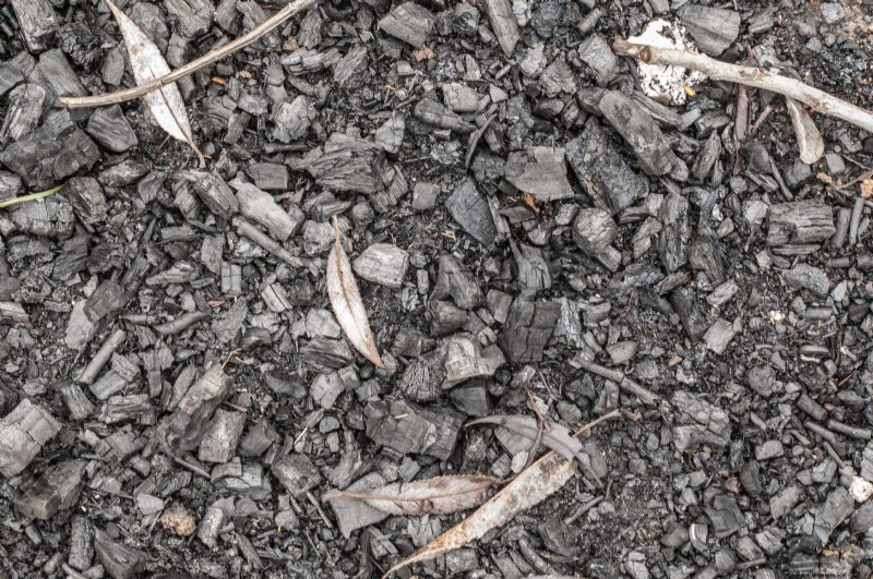 Revive Your Garden: 22 Soil Improvement Techniques for a Thriving Backyard