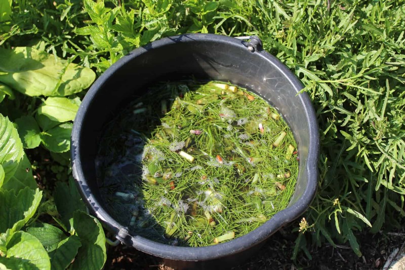 Revive Your Garden: 22 Soil Improvement Techniques for a Thriving Backyard