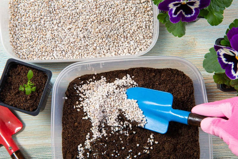 Revive Your Garden: 22 Soil Improvement Techniques for a Thriving Backyard