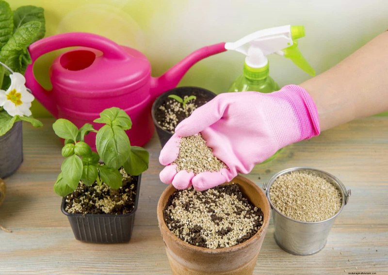 Revive Your Garden: 22 Soil Improvement Techniques for a Thriving Backyard