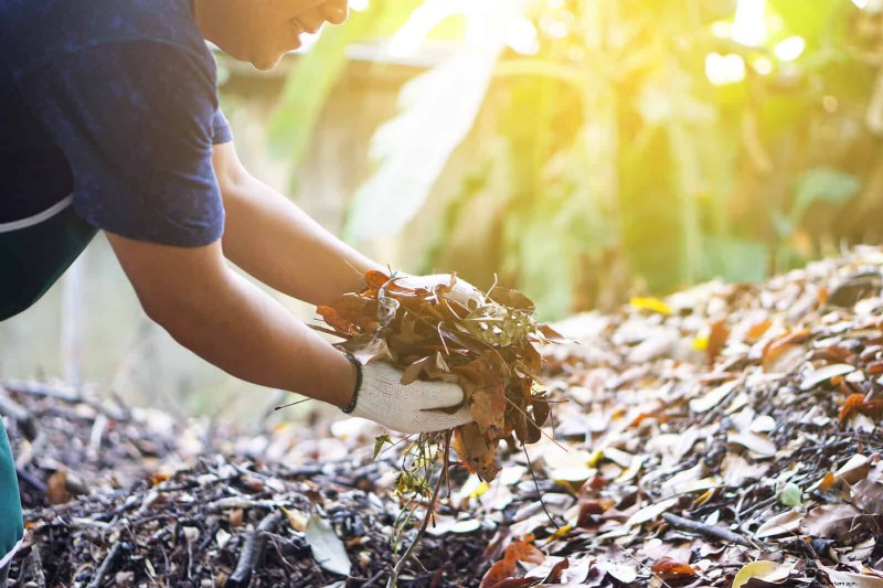 Revive Your Garden: 22 Soil Improvement Techniques for a Thriving Backyard