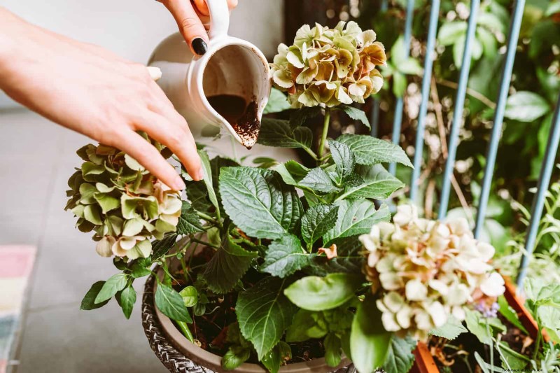 Revive Your Garden: 22 Soil Improvement Techniques for a Thriving Backyard