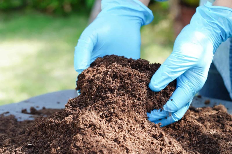 Revive Your Garden: 22 Soil Improvement Techniques for a Thriving Backyard