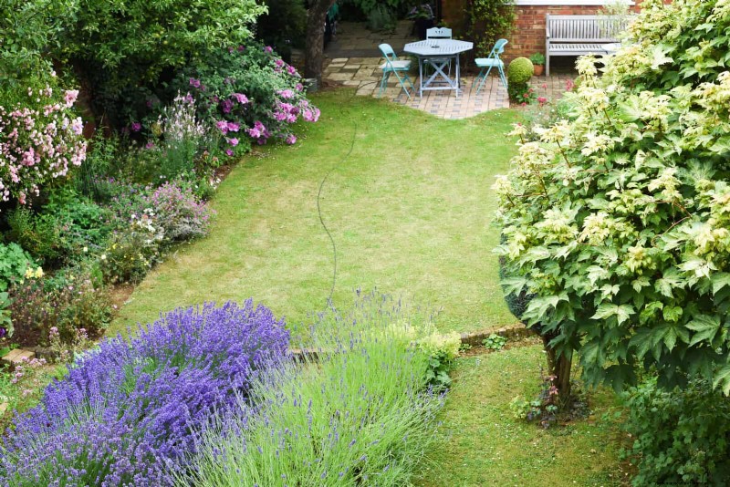 Drought-Tolerant Perennials: Long-Blooming Plants for a Water-Wise Garden