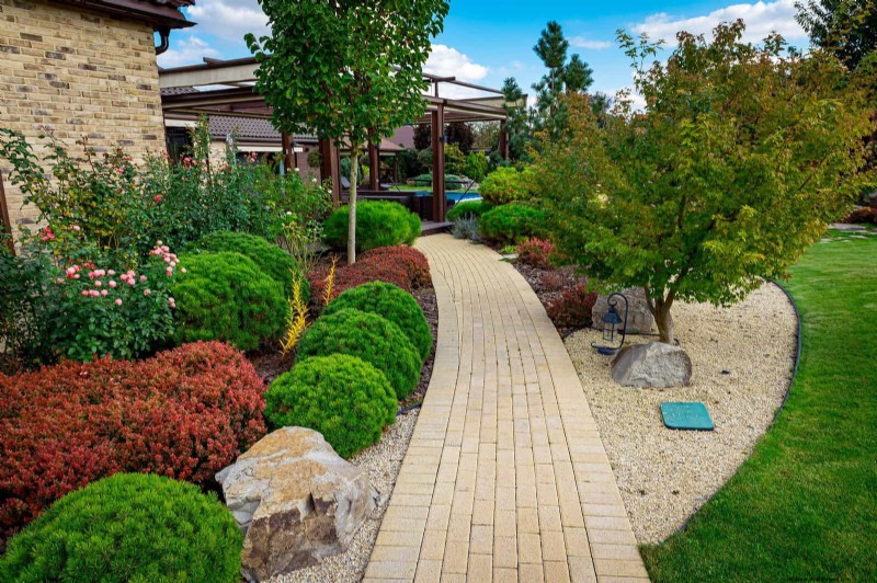 Low-Maintenance Border Plants: 25 Beautiful Choices for Effortless Garden Beds