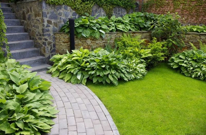 Low-Maintenance Border Plants: 25 Beautiful Choices for Effortless Garden Beds