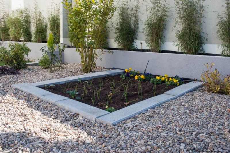 Hard Water & Sensitive Plants: 24 Signs of Mineral Stress