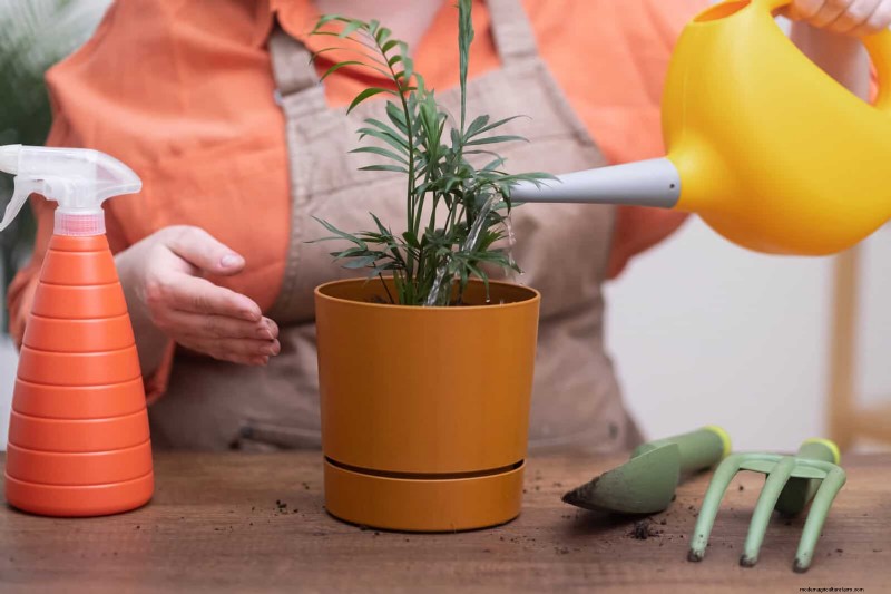 Hard Water & Sensitive Plants: 24 Signs of Mineral Stress