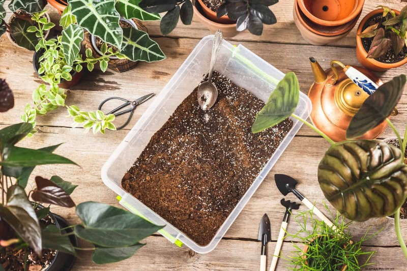Hard Water & Sensitive Plants: 24 Signs of Mineral Stress