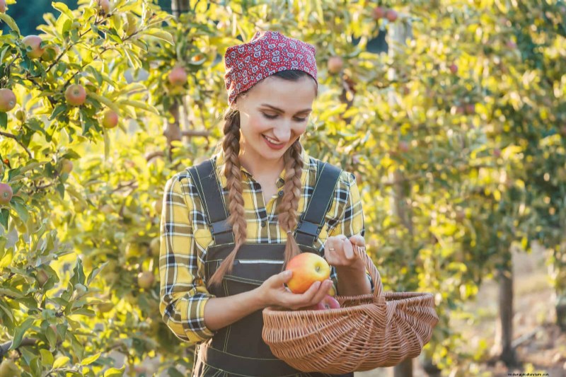 Avoid These 30 Common Gardening Mistakes: A Beginner s Guide
