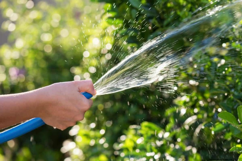 Avoid These 30 Common Gardening Mistakes: A Beginner s Guide