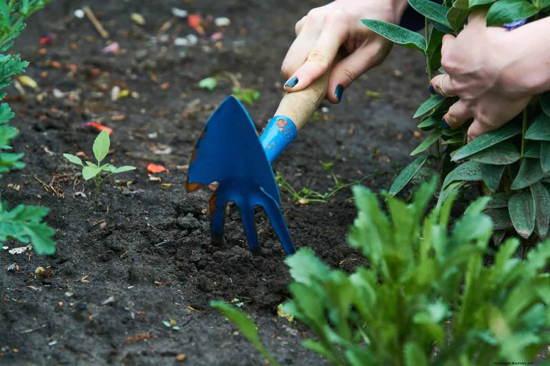 Avoid These 30 Common Gardening Mistakes: A Beginner s Guide