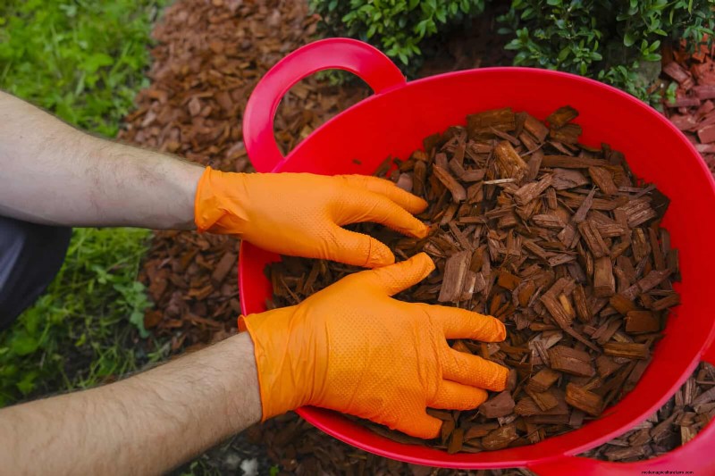 Avoid These 30 Common Gardening Mistakes: A Beginner s Guide